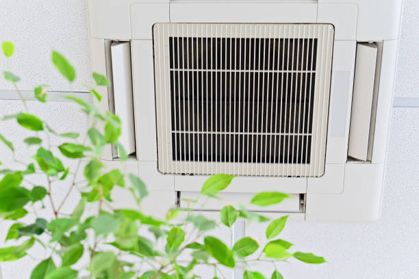 Best Emergency Air Duct Cleaning  in Quincy, MI